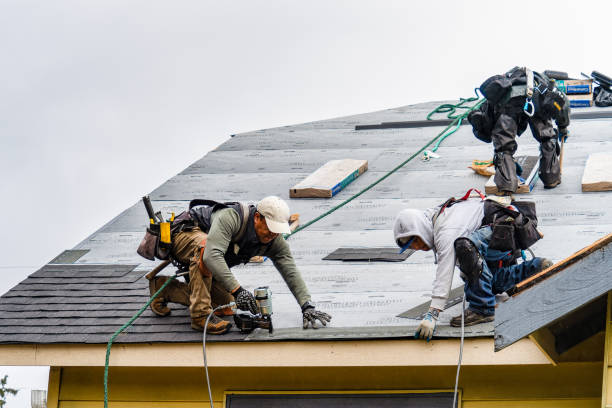 Professional Roof Replacement technician working in Freeland, PA